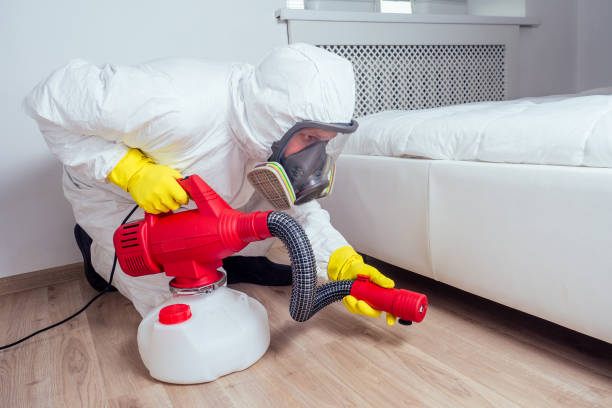 Best Emergency Pest Control  in Bloomgton, IN