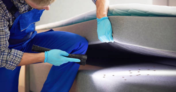 Best Mosquito Control Services  in Bloomgton, IN