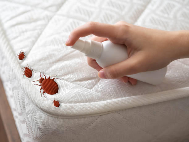 Professional Pest Control in Bloomington, IN