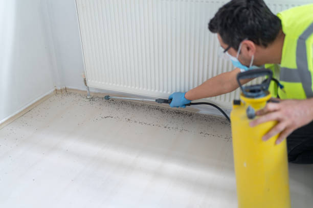 Best Termite Control Services  in Bloomgton, IN