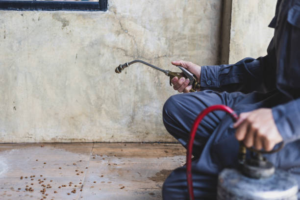 Best Affordable Pest Control Services  in Bloomgton, IN